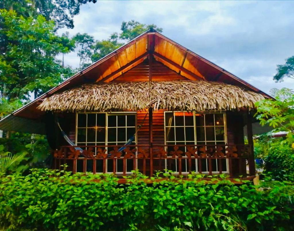 Quinta Primavera - Hosteria Campestre Nueva Loja Ngoại thất bức ảnh
